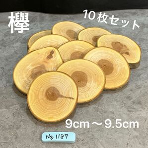 1187 欅 切り株 丸太 輪切り コースター アレンジメント ハンドメイド素材