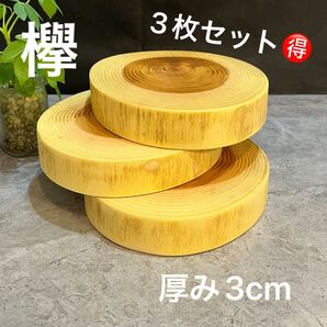 1205 欅 切り株 丸太 輪切り プレート インテリア 花台 ディスプレイ台