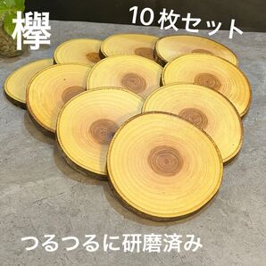 1210 欅 切り株 丸太 輪切り コースター プレート ディスプレイ台 花台