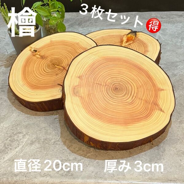 1259 檜 切り株 丸太 輪切り プレート ディスプレイ台 ログボード 花台