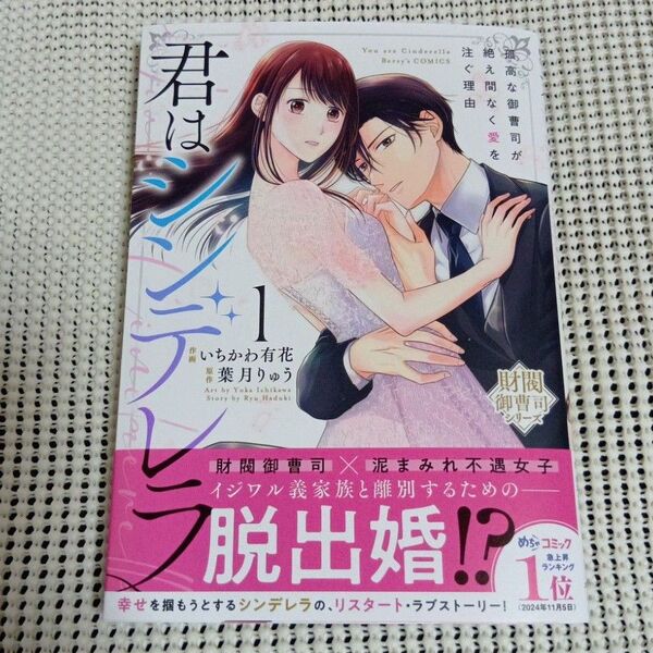 君はシンデレラ 孤高な御曹司が絶え間なく愛を注ぐ理由