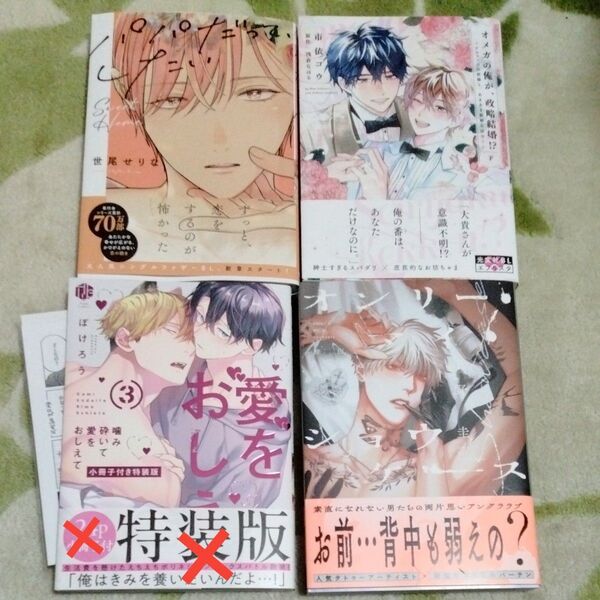 BL漫画 世尾せりな 市依コウ ぽけろう特装版ですが小冊子なし 下野圭 7月25日までの出品