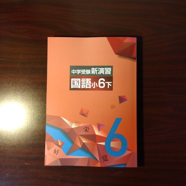 【新品・最新版】国語小6下 中学受験新演習(塾専用教材)