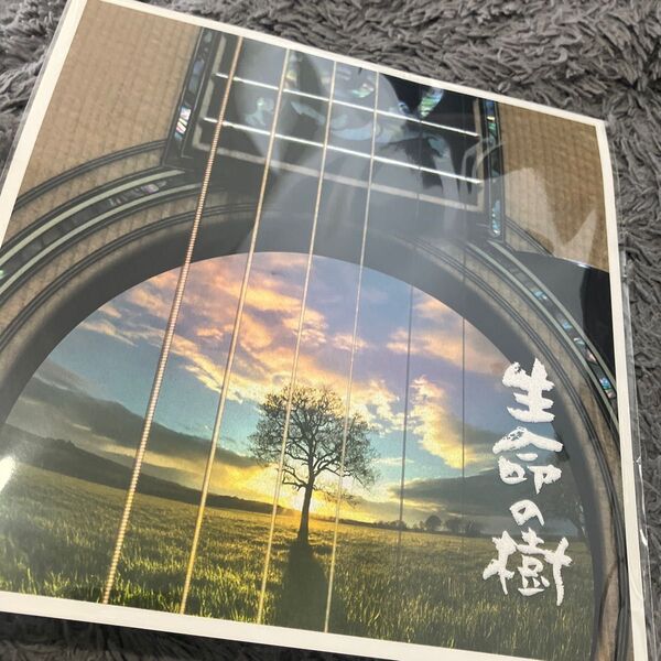 生命の樹 〜Tree of Life〜 さだまさし メガジャケのみ