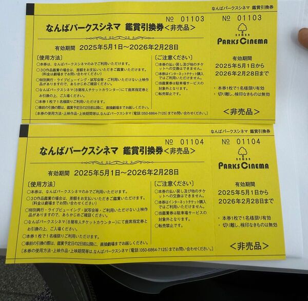 なんばパークスシネマ 鑑賞券 2枚セット
