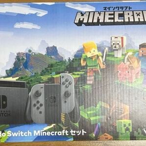 ニンテンドースイッチ Nintendo switch