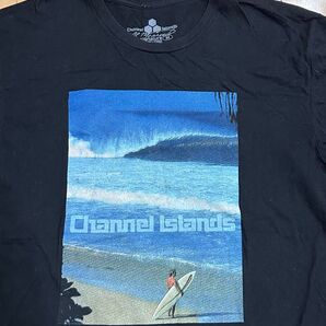 アルメリック Tシャツ Lサイズ