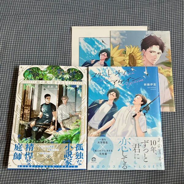 スタート オーバー アゲイン 緑の風に君をひらく 入れ替え可能