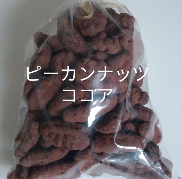 ピーカンナッツココア大粒200g 大人気 アウトレット ナッツ チョコ