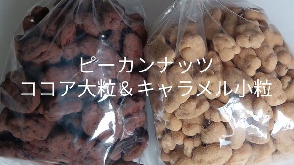 訳あり ピーカンナッツココア大粒&キャラメル小粒 200g×2 大人気 アウトレット ナッツ チョコ