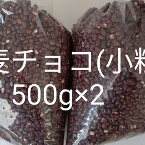 麦チョコ小粒500g×2 アウトレット 訳あり 工場直売 チョコ 大人気