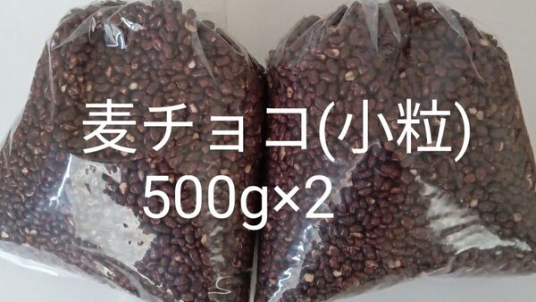 麦チョコ小粒500g×2 アウトレット 訳あり 工場直売 チョコ 大人気