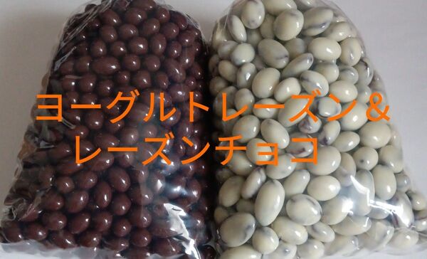 レーズンチョコ小粒(ミルク&ヨーグルト) 大人気 工場 直売 組み合わせ アウトレット