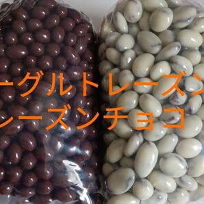 レーズンチョコ小粒(ミルク&ヨーグルト) 大人気 工場 直売 組み合わせ アウトレット
