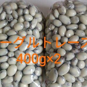 ヨーグルトレーズン(55)400g×2 訳ありアウトレットチョコ 工場 直売 大人気