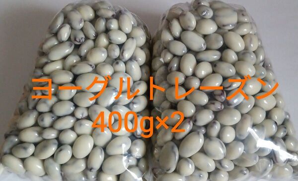 ヨーグルトレーズン(55)400g×2 訳ありアウトレットチョコ 工場 直売 大人気