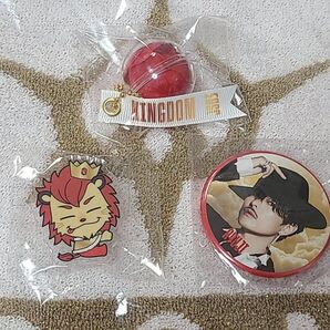 三代目 KINGDOM 今市隆二 バラキーホルダー フラッグアクセサリー 缶バッジ