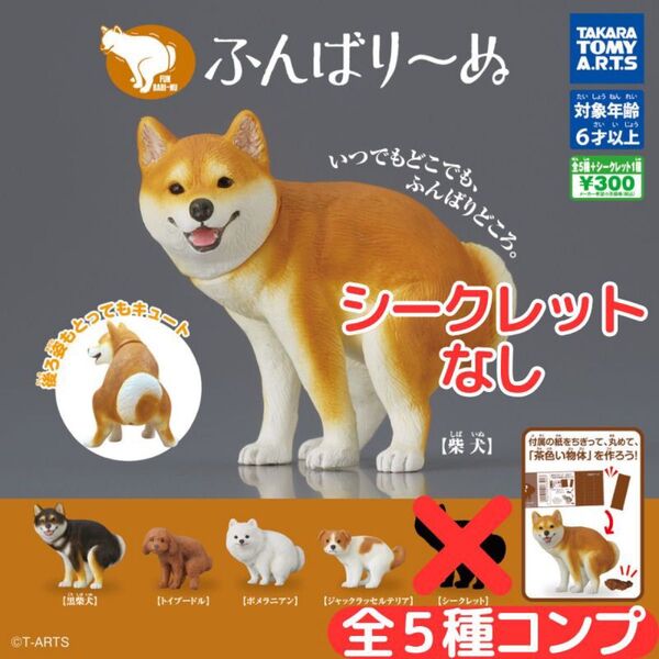 ふんばり~ぬ 全5種 シークレットなし セット