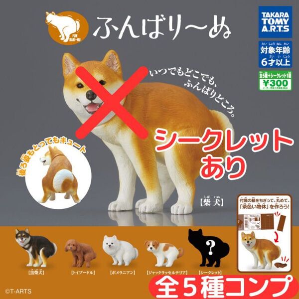 ふんばり~ぬ 全5種 シークレットあり コンプ