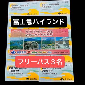 富士急ハイランド フリーパス3枚 5月31日まで 遊園地 引換 FUJIYAMA
