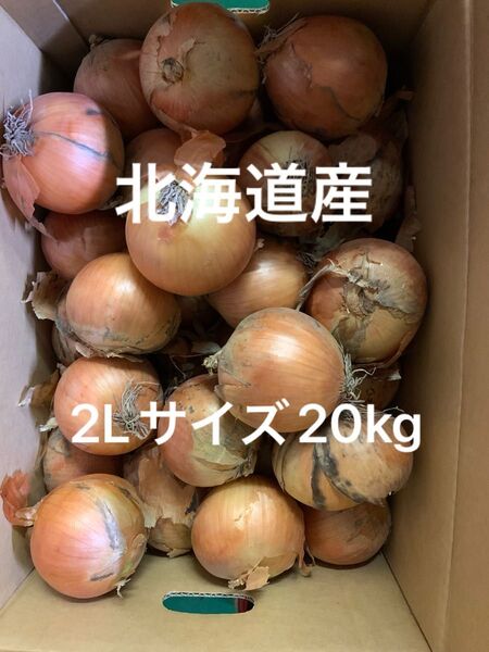 北海道産 たまねぎ