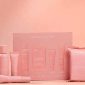 fairy skin derma facial kit