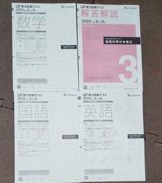2025 ベネッセ 実力診断テスト 3教科 解答解説付き