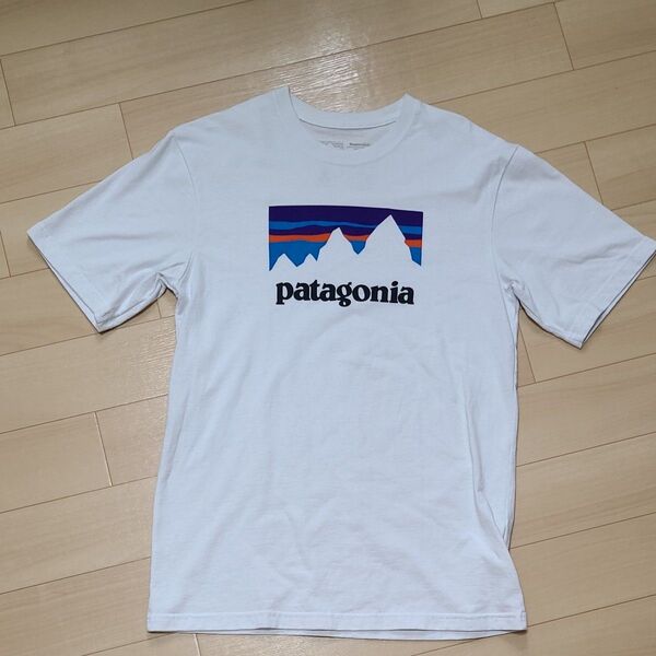 patagonia Tシャツ