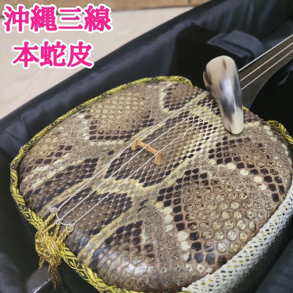 沖縄三線 本蛇皮 強化張り伝統 伝統楽器 弦楽器 本皮 和楽器