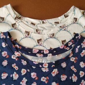 UNIQLO ポールアンドジョー PAUL&JOE Tシャツ レディース Mサイズ