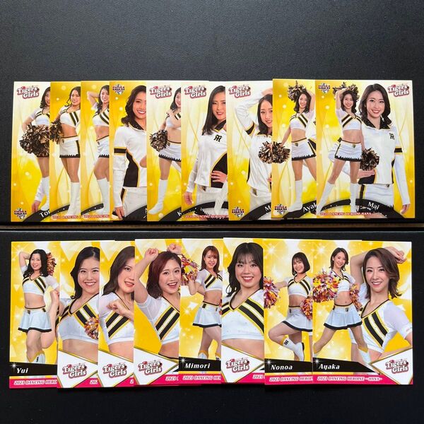 2020, 2023 BBM チアリーダー華 TigersGirls レギュラーカード 17種コンプリート