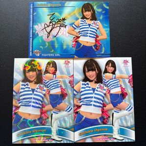 2014 BBM チアリーダー舞 ファイターズガール 小川千尋 直筆サインカード、ホロPPカード4枚・レギュラーカード2枚同封