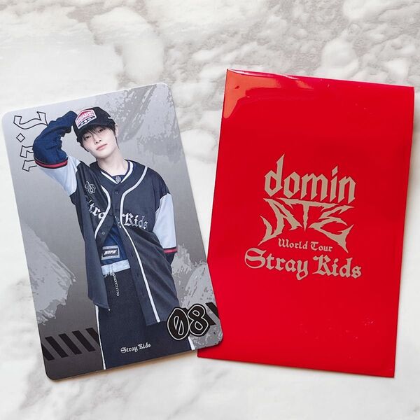 【公式】Stray Kids World Tour ランダムフォトカード アイエン