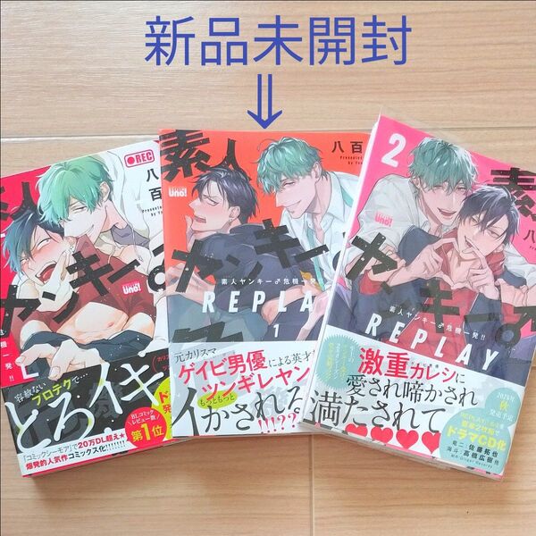 素人ヤンキー危機一発!! シリーズ3冊セット