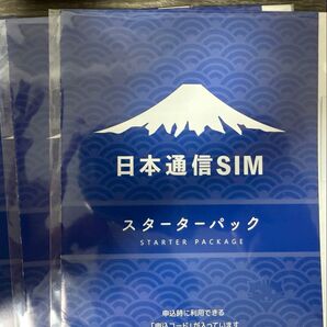 日本通信SIMスターターパック2枚セット 申込期限2025年6月末