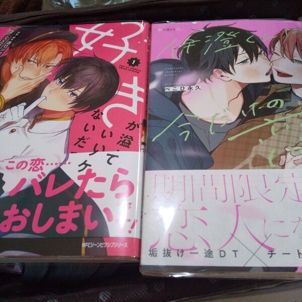 お値下げ交渉以外でしたら気後れせず質問可能! 商業 BL 新刊 好きが溢れていいワケないだろ 伊澄くんは今だけの恋人