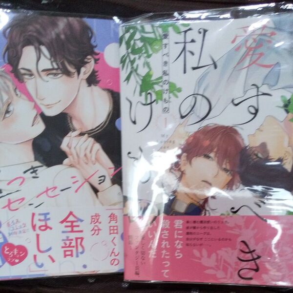 お値下げ交渉以外でしたら気後れせず質問可能!商業 BL 新刊 嘘つきセンセーション 愛すべき私のけもの