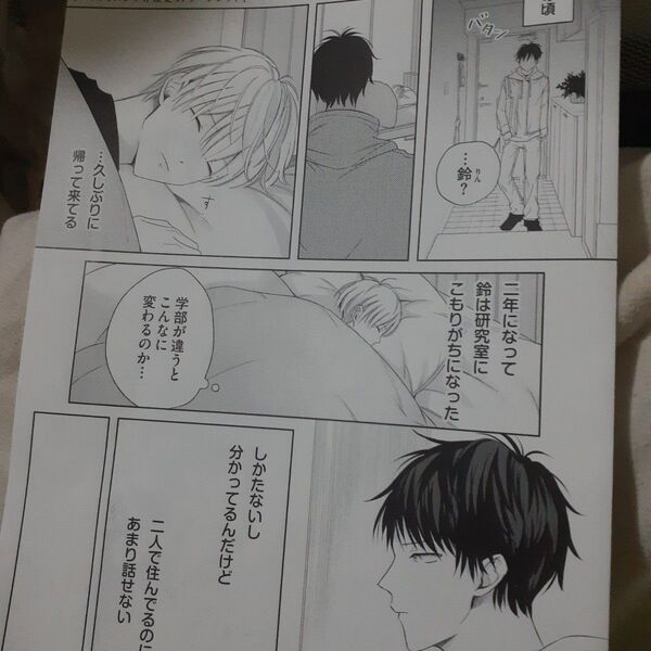 お値下げ交渉以外でしたら気後れせず質問可能!商業 BL 新刊 リーフレットのみ 青嵐とピアス