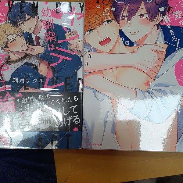 お値下げ交渉以外でしたら気後れせず質問可能!商業 BL 新刊 ヤンデレ幼馴染は俺に首輪をつけたがる