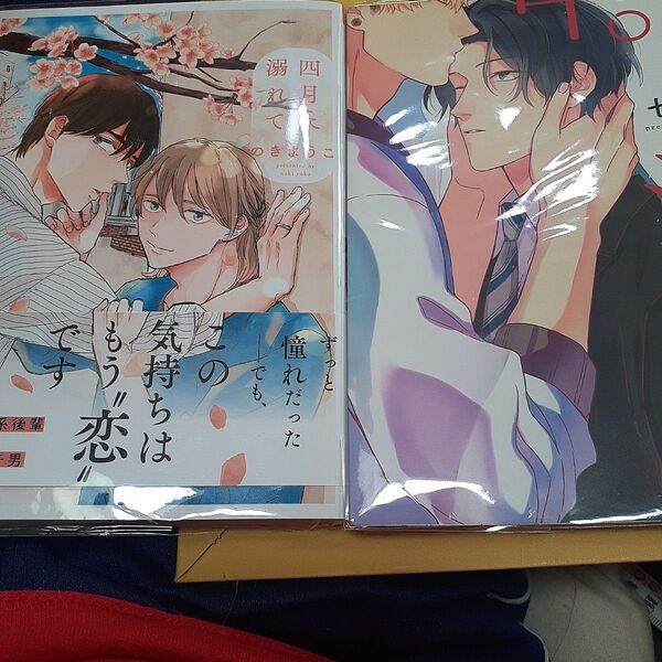 お値下げ交渉以外でしたら気後れせず質問可能!商業 BL 新刊 四月に溺れて