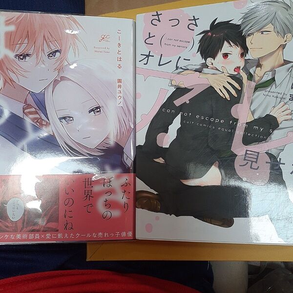 お値下げ交渉以外でしたら気後れせず質問可能!商業 BL 新刊 こーきとはる