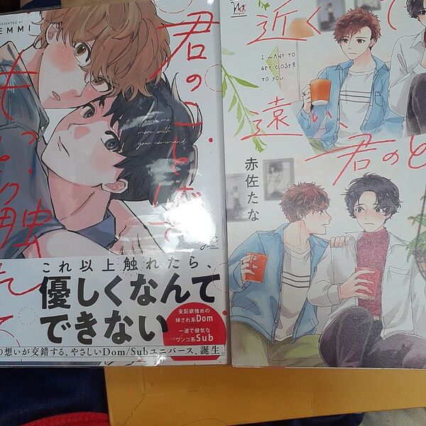 お値下げ交渉以外でしたら気後れせず質問可能!商業 BL 新刊 君のことばでもっと触れて