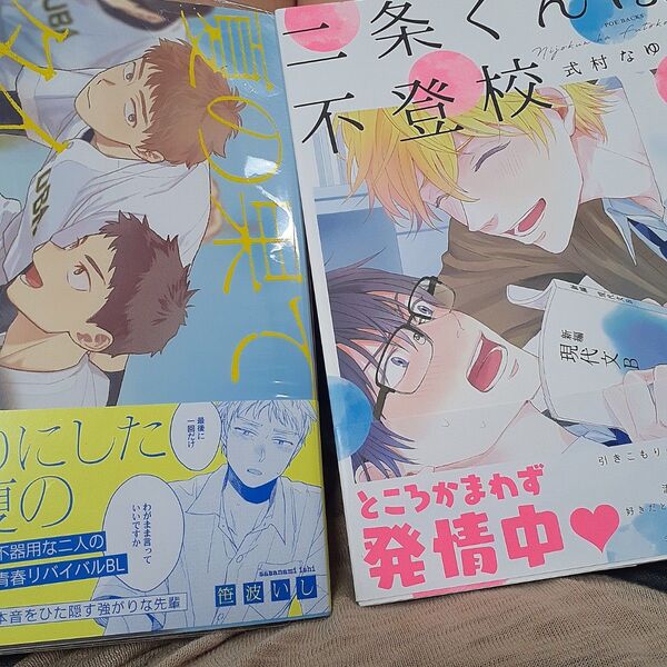 お値下げ交渉以外でしたら気後れせず質問可能!商業 BL 新刊 夏の果てタイブレーク