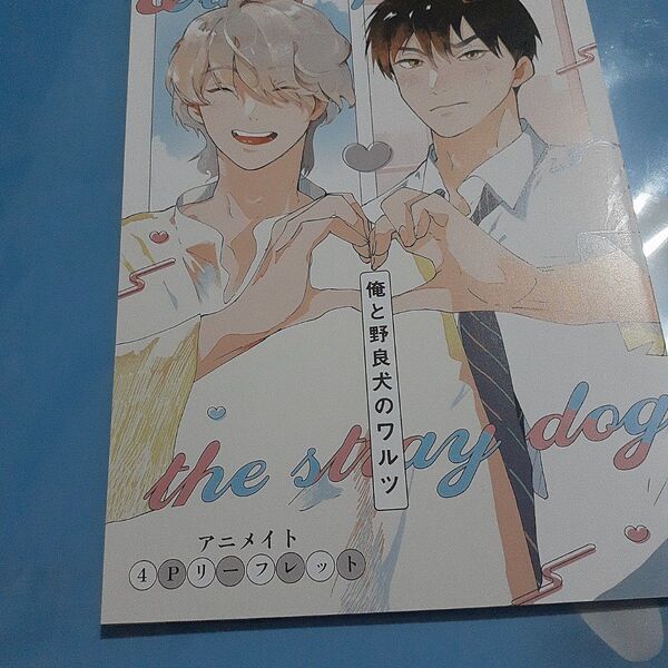 お値下げ交渉以外でしたら気後れせず質問可能!商業 BL 新刊 アニメイト限定リーフレットのみ 俺と野良犬のワルツ