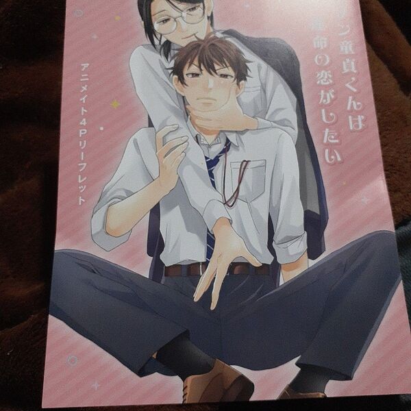 お値下げ交渉以外でしたら気後れせず質問可能!商業 BL 新刊 アニメイト限定リーフレットのみ イケメン童貞くんは運命の恋がしたい