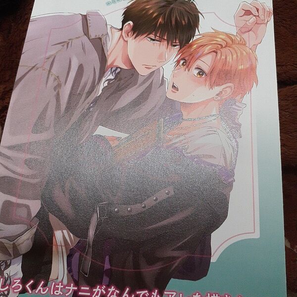 お値下げ交渉以外でしたら気後れせず質問可能!商業 BL 新刊 リーフレットのみ ましろくんはナニがなんでもアレを描きたい!
