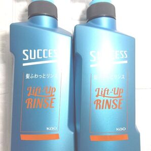 2個セット【未開封】サクセス 髪ふわっと リンス本体 400ml 髪を立ち上げふんわり髪へ アクアシトラスの香り