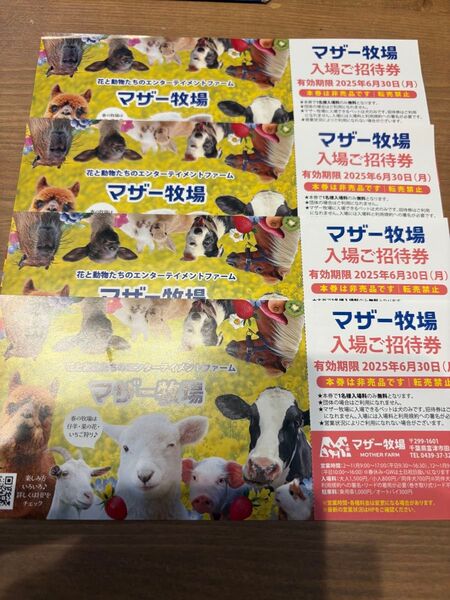 マザー牧場 入場ご招待券