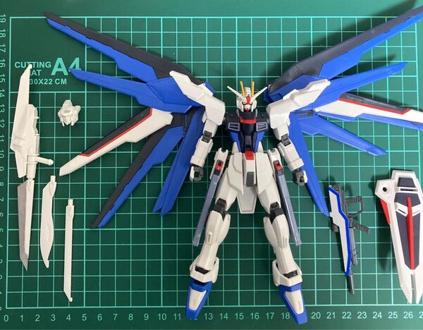 ガンプラ HG フリーダムガンダム カスタムキット