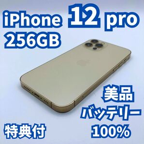 【美品】iPhone 12 pro 256GB 新品バッテリー100% SIMフリー FaceID不可